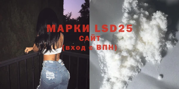 прущие грибы Дмитриев