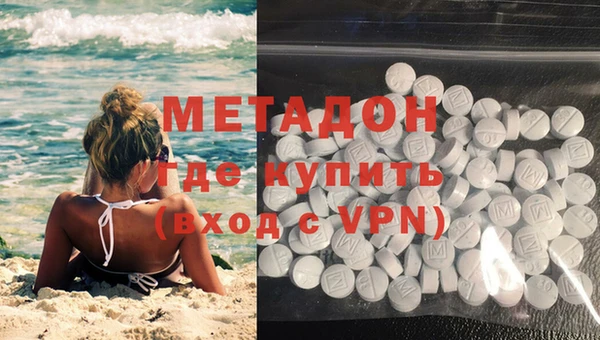 прущие грибы Дмитриев