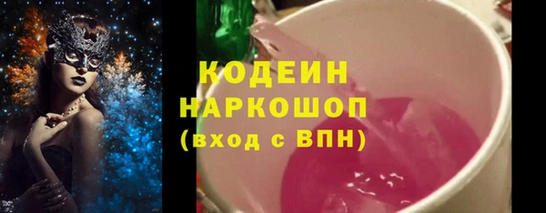 прущие грибы Дмитриев