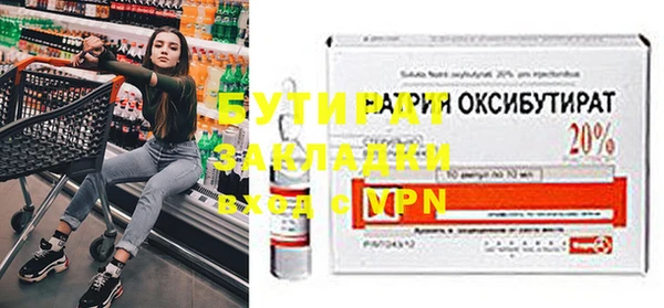 дживик Ельня