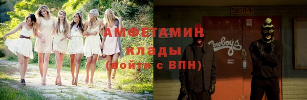 прущие грибы Дмитриев