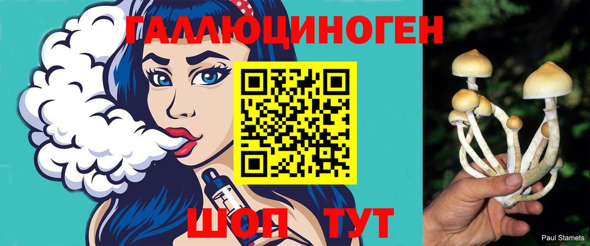 Галлюциногенные грибы мицелий  Вход с VPN  Сланцы 